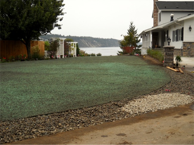 New Construction Lawn installation on Fox Island