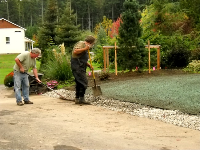 New Construction Lawn installation on Fox Island