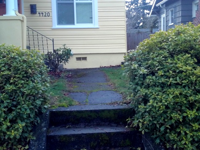 Tacoma Landscaping old shrub removal