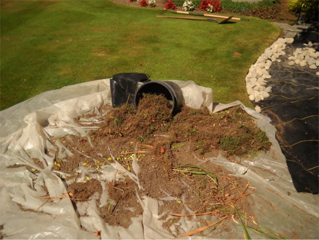 Tacoma Landscaping hardscape planting strip