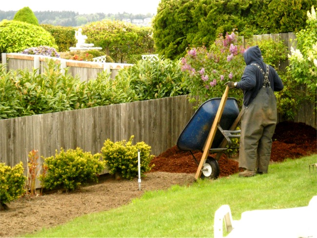 Tacoma Landscaping yard maintenance