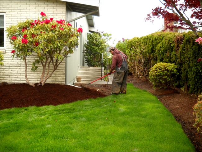 Tacoma Landscaping yard maintenance