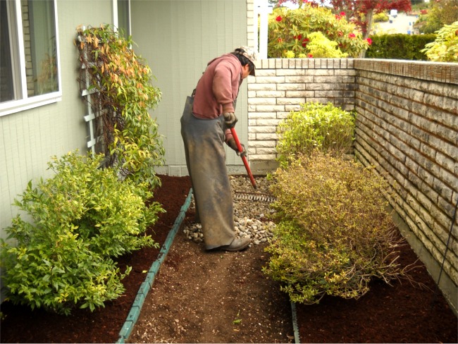 Tacoma Landscaping yard maintenance