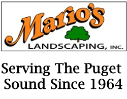 Marios Landscaping