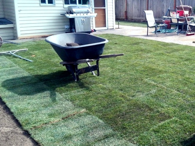 Tacoma Landscaping new sod installation services